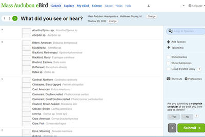 Screenshot of eBird sightings submission form