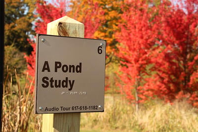 Sensory Trail sign about a pond