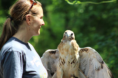 Teacher naturalist holding a hawk