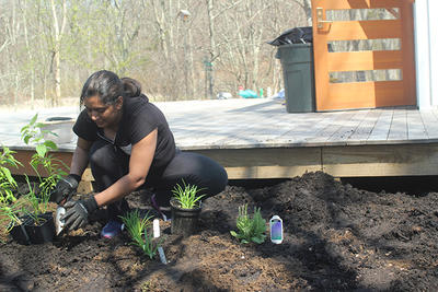 Volunteer planting