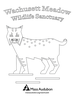 Wachusett Meadow coloring page