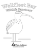 Wellfleet Bay coloring page