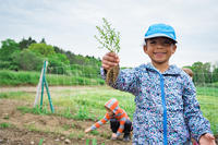 Young child holding up picked plant at Drumlin Farm