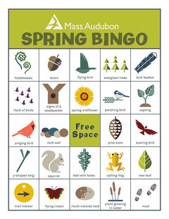 MA Nature Bingo Card - Spring v1