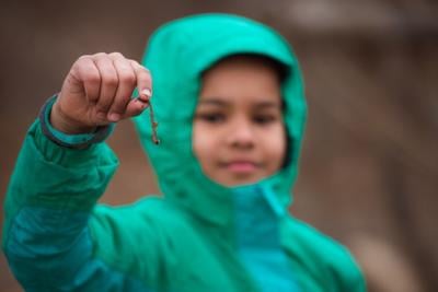 Young child in a raincoat holding up a worm at the Boston Nature Center