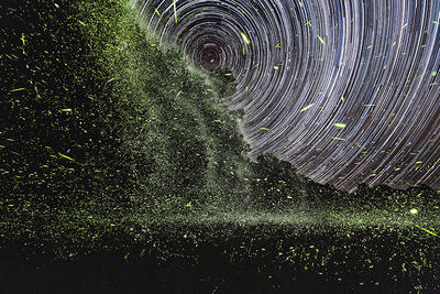 Long exposure shot of thousands of fireflies at night in Heath, MA © Will Draxler