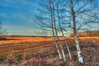 Landscape © Paul Mozell