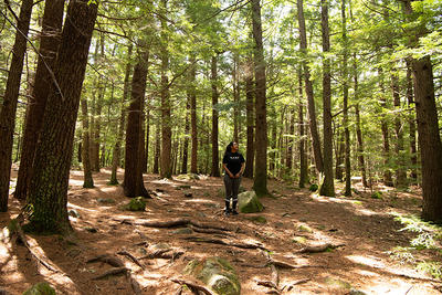 Person standing among the trees at Wompatuck State Park in Hingham, MA © Siya Gunda