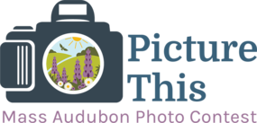 Mass Audubon "Picture This" Photo Contest 2021 logo