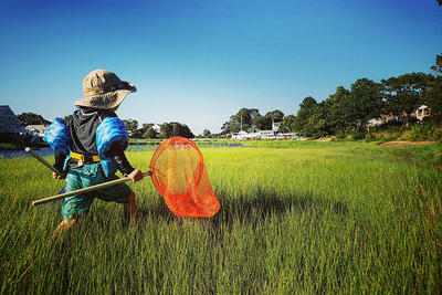 Small boy marching into wetland with seining net & arm floaties © William Hicks