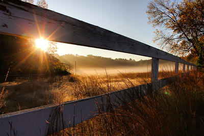 Tyngsboro pasture at sunrise © Carina Rivera