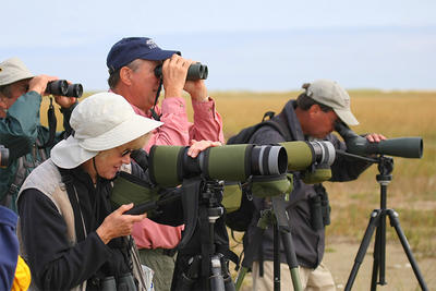 Birders using scopes at Wellfleet Bay Wildlife Sanctuary