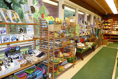 Shop homegoods section