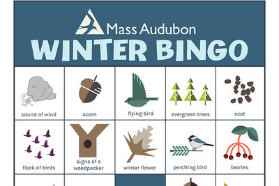 Mass Audubon Nature Bingo - Winter