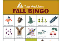 Mass Audubon Nature Bingo - Fall