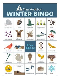 MA Bingo Card - Winter #1