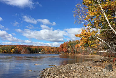 Fall foliage at Coes Pond in Worcester, MA