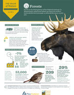 The Value of Nature - Forest - Fact Sheet
