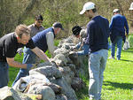 Mass Audubon volunteers weeding a stone wall