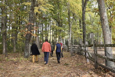 Walking in Woods at Brewster's Woods