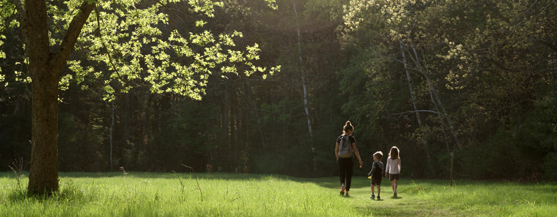 Adult and two children walking on an open trail at Brewster's Woods