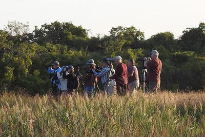 adults-birding-1140_bannerbackground