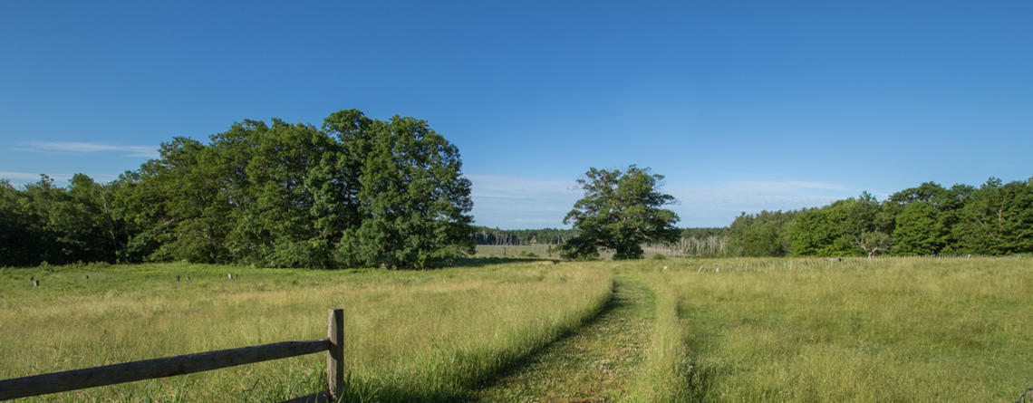 All Persons Trail Oak Trail © Jon Jones