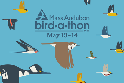 Bird-a-thon 2022 blue banner