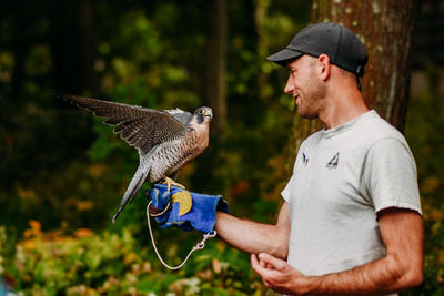Blue Hills staff holding a bird of prey