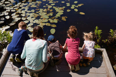 Family looking over a pond © Daniel Welsh