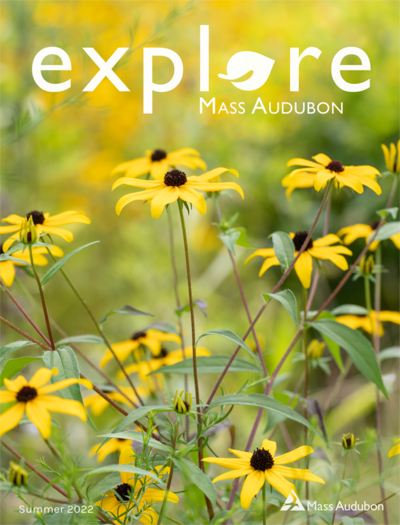 Explore - Summer 2022