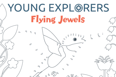 flying jewels