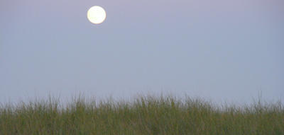 Full moon over dune © Len Edgerly