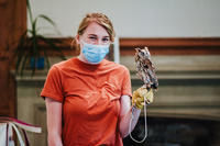 MABA volunteer holding a small bird of prey