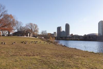Landscape of Magazine Beach on the Charles River