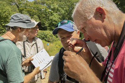 Researchers looking closely at a small object © Robert Buchsbaum