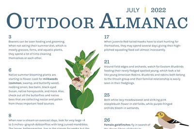 Outdoor Almanac Summer 2022—July