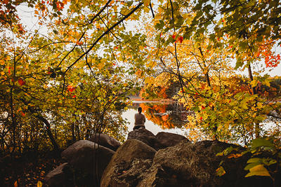 Riverbank and fall foliage at Stony Brook