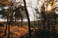 Sunset through the trees at Moose Hill