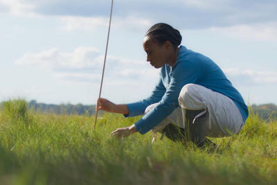 Dr. Danielle Perry, Coastal Resilience Program Director