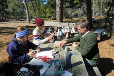 Volunteers preparing to band birds at Wellfleet Bay