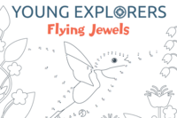Young Explorers Spring Activity Sheet