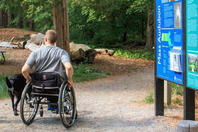 A wheelchair user with a service dog explores the All Persons Trail at Habitat Education Center in Belmont