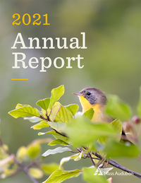 Cover of Mass Audubon's 2021 Annual Report (Common Yellowthroat © Ian Barton)