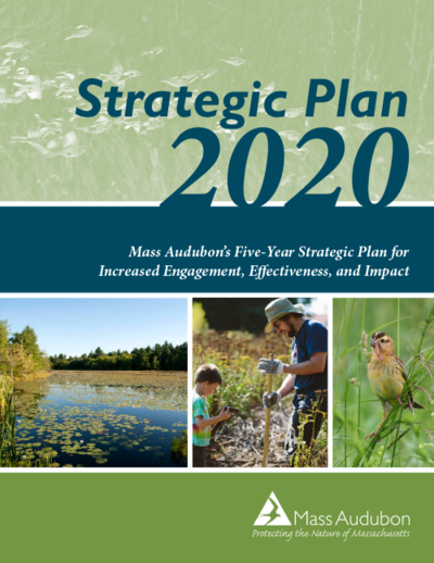 Mass Audubon Strategic Plan 2020