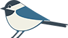 Chickadee full-color icon