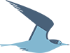 Tern icon