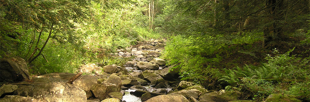 Cold Brook Wildlife Sanctuary