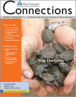 Connections fall 2010 issue