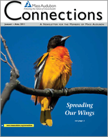 Connections winter 2011 issue